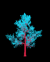 greenshift tree