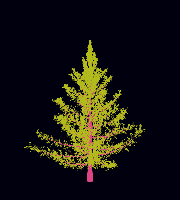 greenshift tree