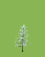 greenshift tree