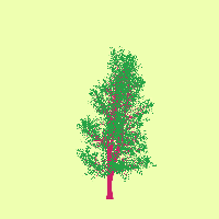 greenshift tree