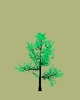 greenshift tree