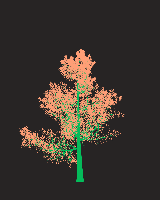 greenshift tree