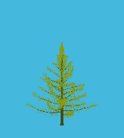 greenshift tree