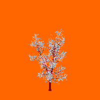 greenshift tree