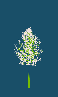 greenshift tree