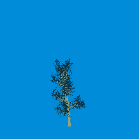 greenshift tree