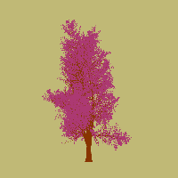greenshift tree