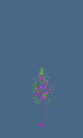 greenshift tree