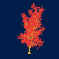 greenshift tree