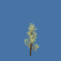greenshift tree