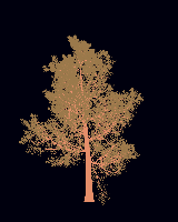 greenshift tree