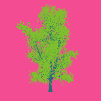 greenshift tree