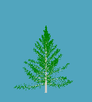 greenshift tree