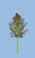 greenshift tree