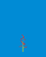 greenshift tree