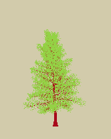 greenshift tree