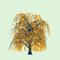greenshift tree