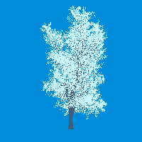 greenshift tree
