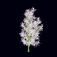 greenshift tree