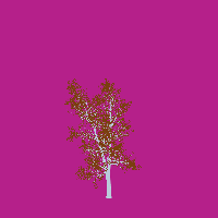 greenshift tree