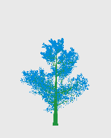 greenshift tree