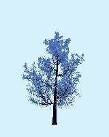greenshift tree