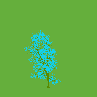 greenshift tree
