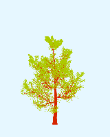 greenshift tree