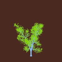 greenshift tree