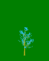 greenshift tree