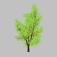 greenshift tree