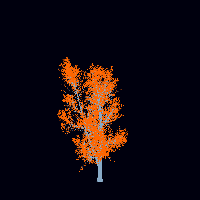 greenshift tree