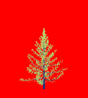 greenshift tree