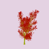 greenshift tree