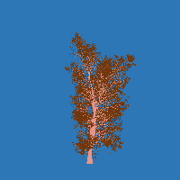 greenshift tree