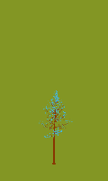 greenshift tree
