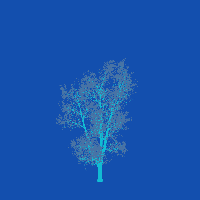 greenshift tree