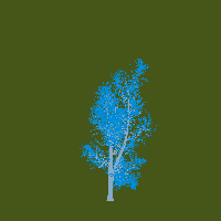greenshift tree