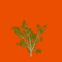 greenshift tree