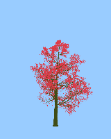greenshift tree