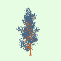 greenshift tree