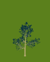 greenshift tree