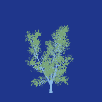 greenshift tree