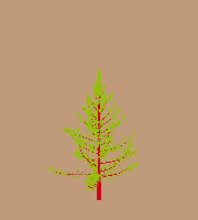 greenshift tree