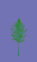greenshift tree