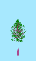 greenshift tree