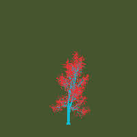 greenshift tree
