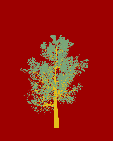 greenshift tree