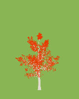 greenshift tree