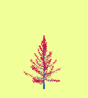 greenshift tree